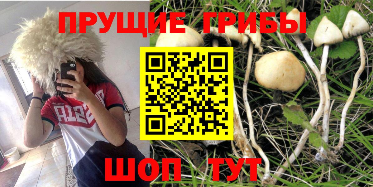 Галлюциногенные грибы MAGIC MUSHROOMS Оренбург